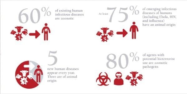 Maternal & perinatal mortality in the Spanish Influenza pandemic 1918-1919 Maternal & perinatal mortality in the Spanish Influenza pandemic 1918-1919
